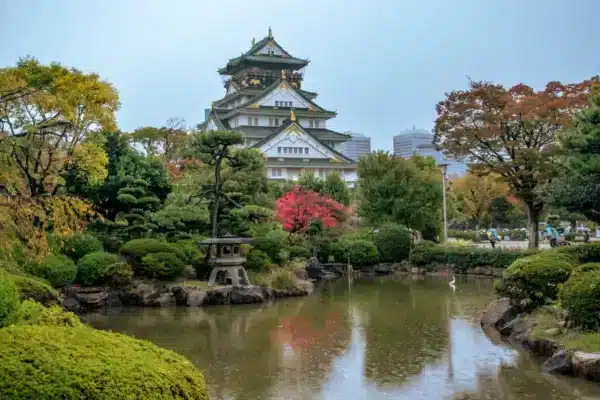 Explora Japón Milenario: Osaka y Tokyo en 8 días