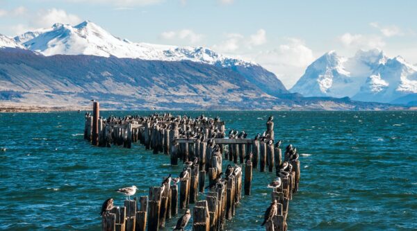 Vive la Magia de Puerto Natales – Solo Tierra 2025 04 Días / 03 Noches