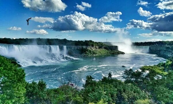 Descubre la Historia y la Cultura de Estados Unidos con el Tour Legado Americano