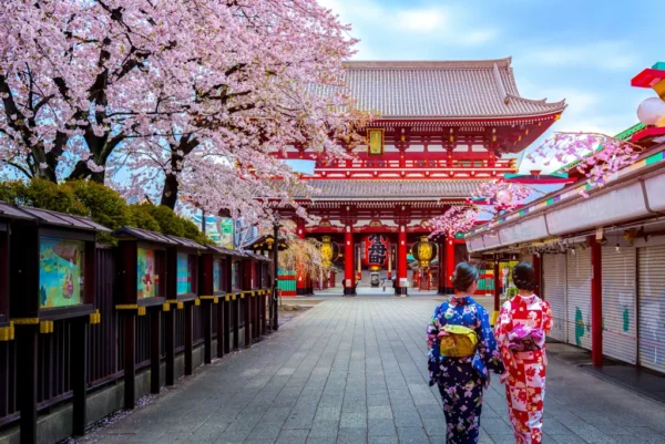 Cyber 2025: Circuito SUPER CHINA Y JAPÓN (Osaka - Tokyo)